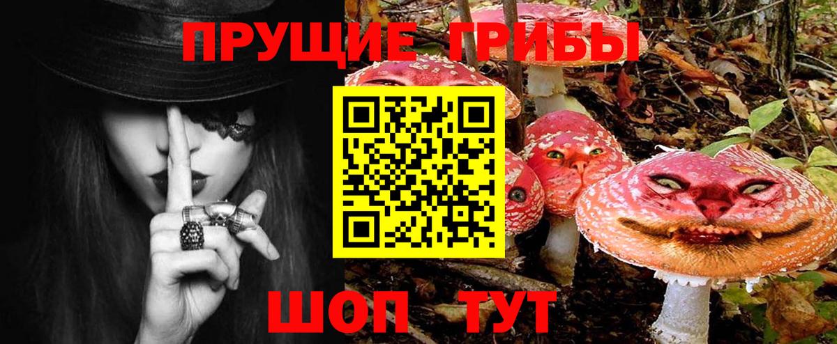 Галлюциногенные грибы Magic Shrooms Кубинка