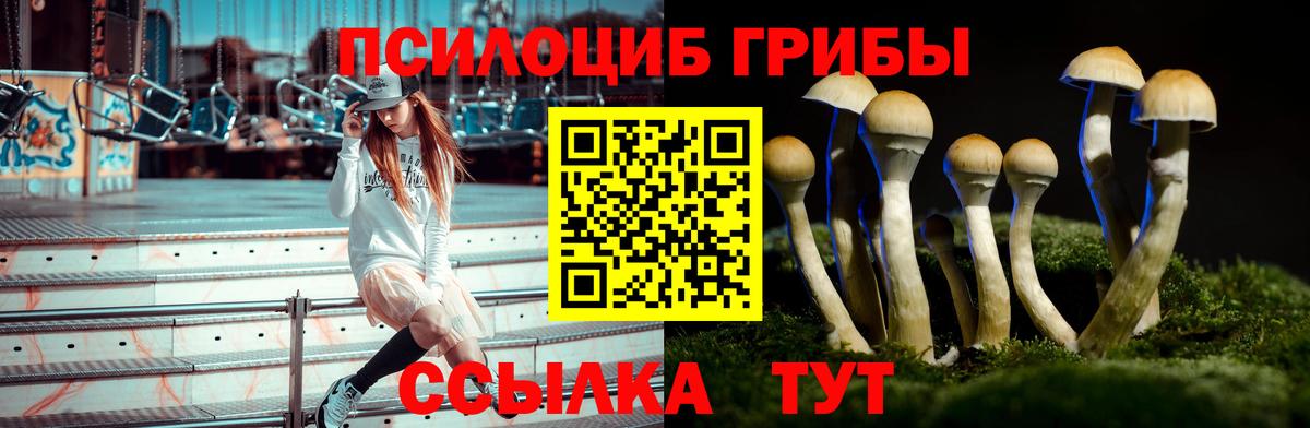 Кубинка  Галлюциногенные грибы прущие грибы  Псилоцибиновые грибы MAGIC MUSHROOMS  Вход с VPN 